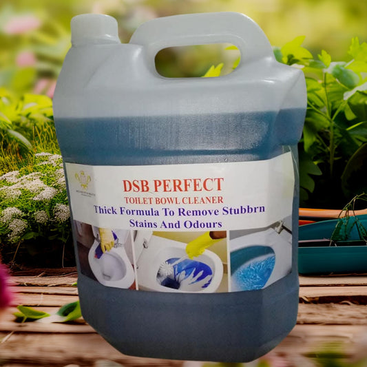 "DSB Perfect Toilet Bowl Cleaner: 🚽✨ Powerful Cleaning for a Sparkling Fresh Toilet 🧼💧"